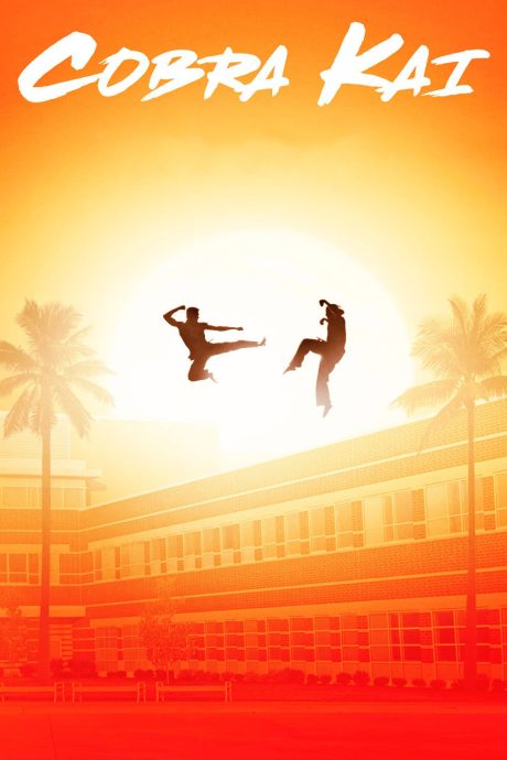 Cobra Kai (Saison 1 à 3)