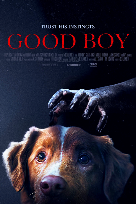 Good Boy